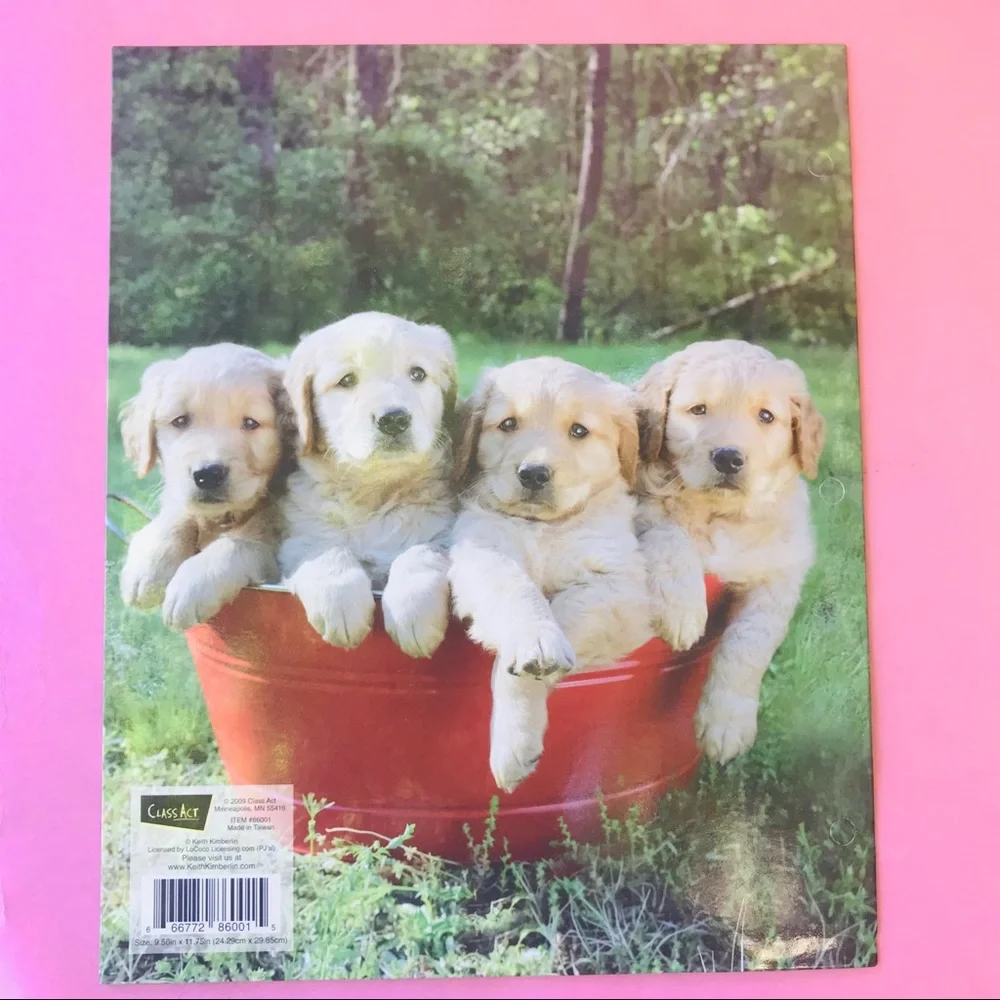 New set of folders